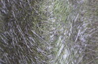 St Giless Hill fibreglass roof work